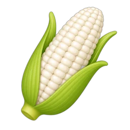 Corn, White, Raw