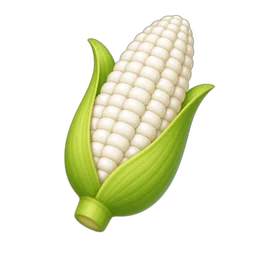 Corn, White