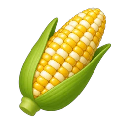 Corn, Yellow and White Kernels, Raw