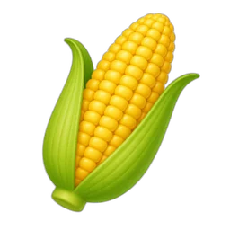 Corn, Yellow, Raw