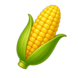 Corn, Yellow