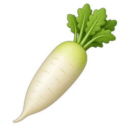 Radish, Oriental, Raw