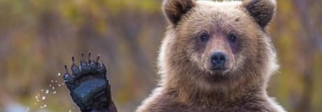 Hẹn hò online - Hình cover của Thao Đỗ