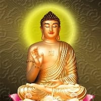 Avatar of user - Ducanh Nong