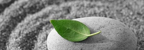 Hẹn hò online - Hình cover của Nhớ Võ