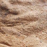 Avatar of user - Alex Join