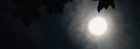 Hẹn hò online - Hình cover của Ly Trung Nam