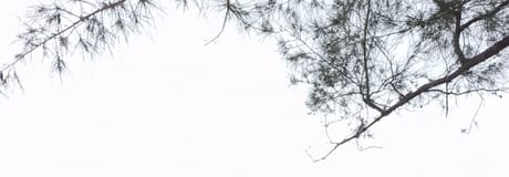 Hẹn hò online - Hình cover của Cường Trần