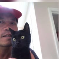 Avatar of user - Nguyen LUAN