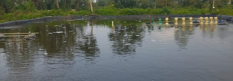 Hẹn hò online - Hình cover của Tran Van Trong