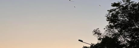 Hẹn hò online - Hình cover của phương Ngọc nghi