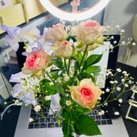 Avatar of user - Yến Vi Nguyễn