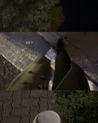 Thumbnail 1ADB787C-0EC4-4989-B37C-1C60C33F8431.JPG