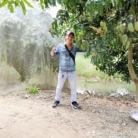 Avatar of user - Nguyễn văn Hải