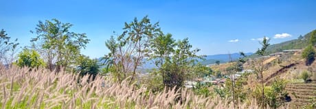 Hẹn hò online - Hình cover của Tamm¥👑