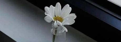 Hẹn hò online - Hình cover của Trang Trần 