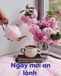 Thumbnail IMG_0991.JPG