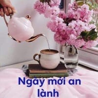 Avatar of user - Quang Nong