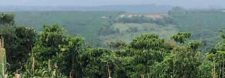 Hẹn hò online - Hình cover của khang