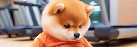 Hẹn hò online - Hình cover của Tiến Huy Đinh