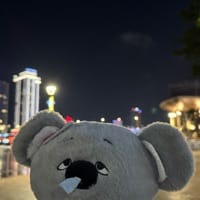 Avatar of user - Thuyva810