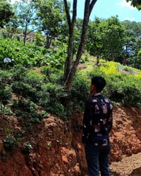 Thumbnail IMG_0535.JPG