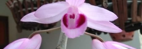 Hẹn hò online - Hình cover của Nguyễn Hoàng Bảo