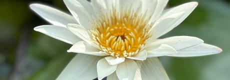 Hẹn hò online - Hình cover của TNL