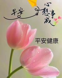 Thumbnail IMG_0073.JPG