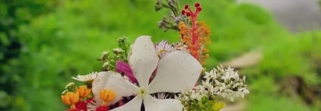 Hẹn hò online - Hình cover của Huyen Le