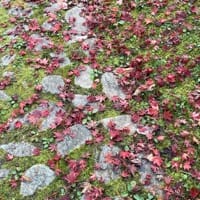 Avatar of user - nam nguyen