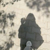 Avatar of user - Thu