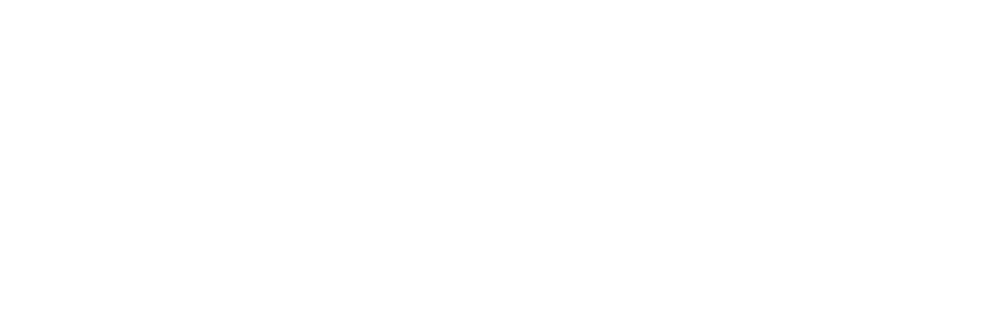 SEIMLab