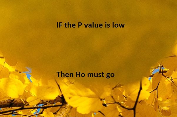 featured image - The Importance of Hypothesis Testing