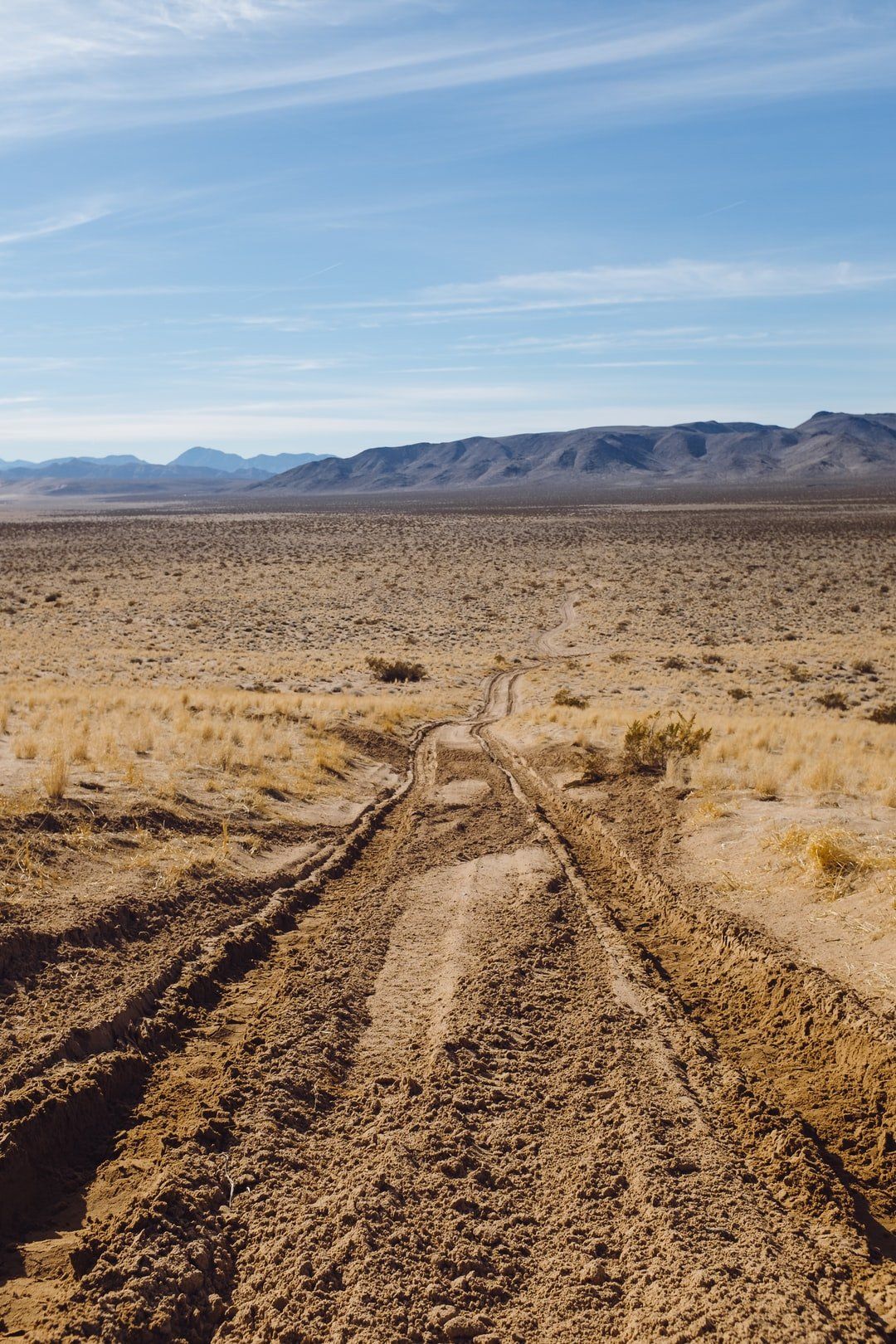 featured image - "Change Your Inner Intent And Your Life Will Turn Around", Interview with Pierre-Antoine Mill