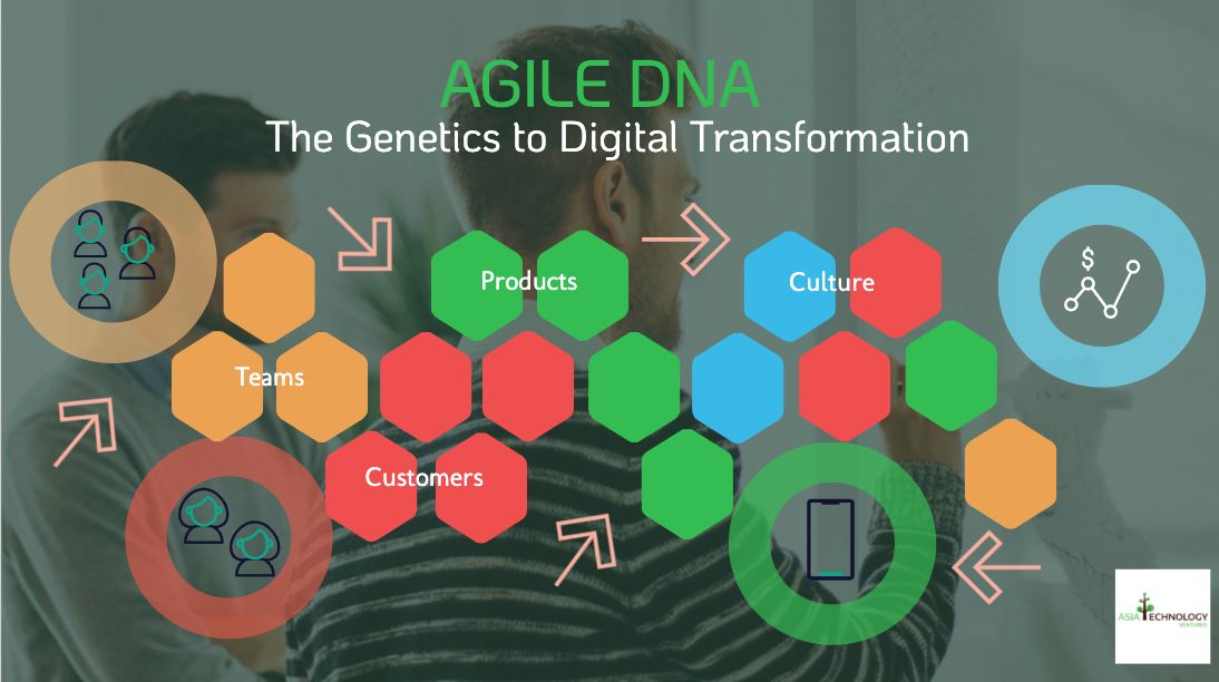 /agile-dna-the-genetics-of-digital-transformation-1q7x3wfy feature image