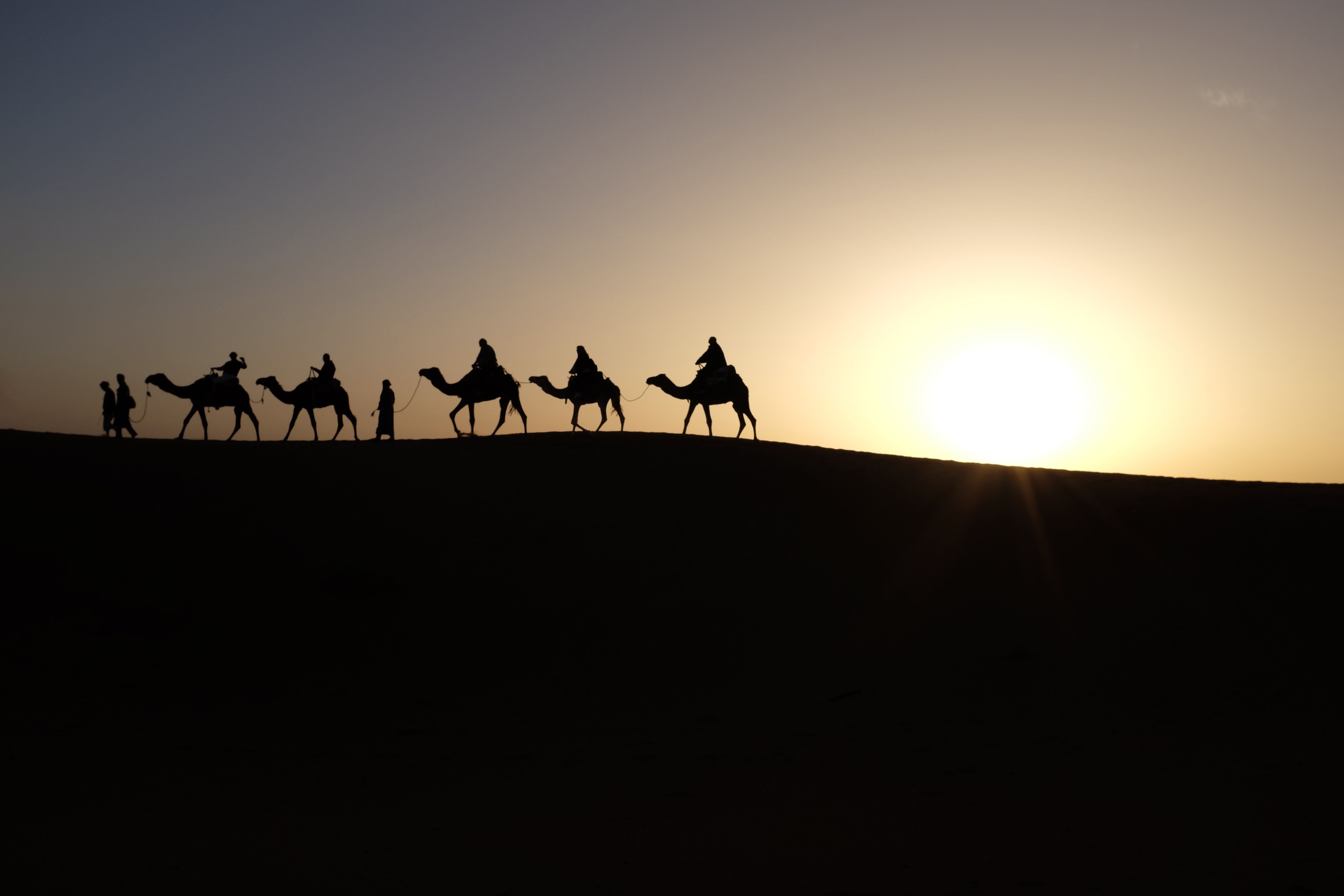 /re-new-normal-todays-thriving-startups-will-be-camels-not-unicorns-fa2b3u9z feature image