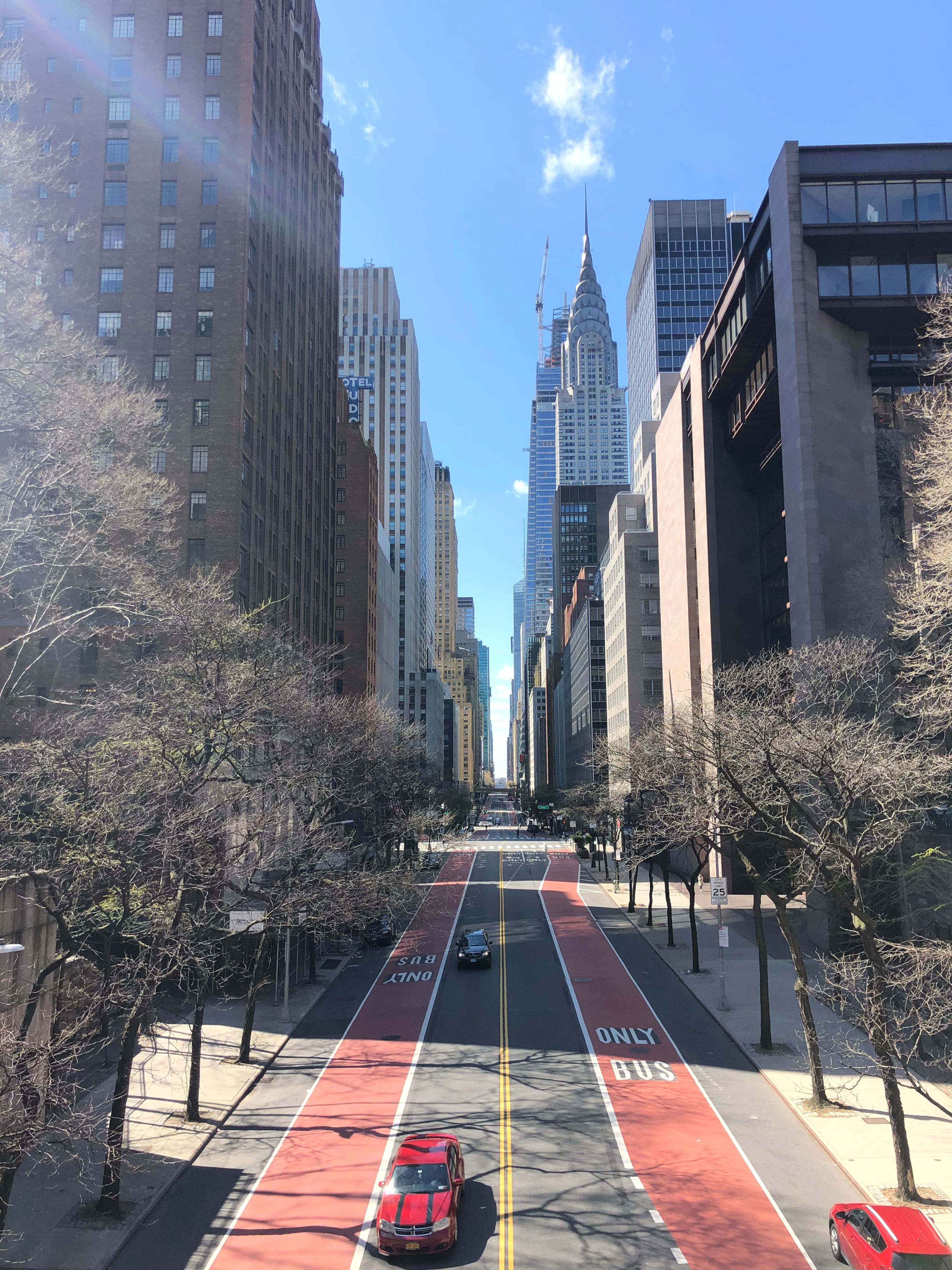 featured image - I Built a Mental Health App While Stuck in My Tiny Studio in NYC