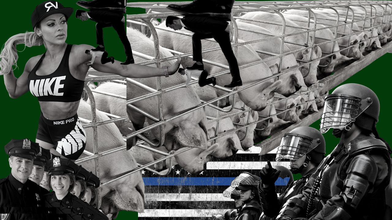 featured image - Capitalism, White Supremacy, Police Brutality: What A Tangle of Thorns