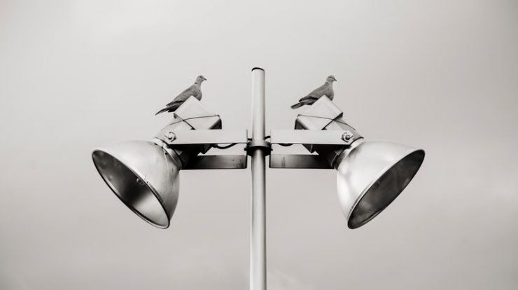 featured image - How Similar Are Programming Languages?