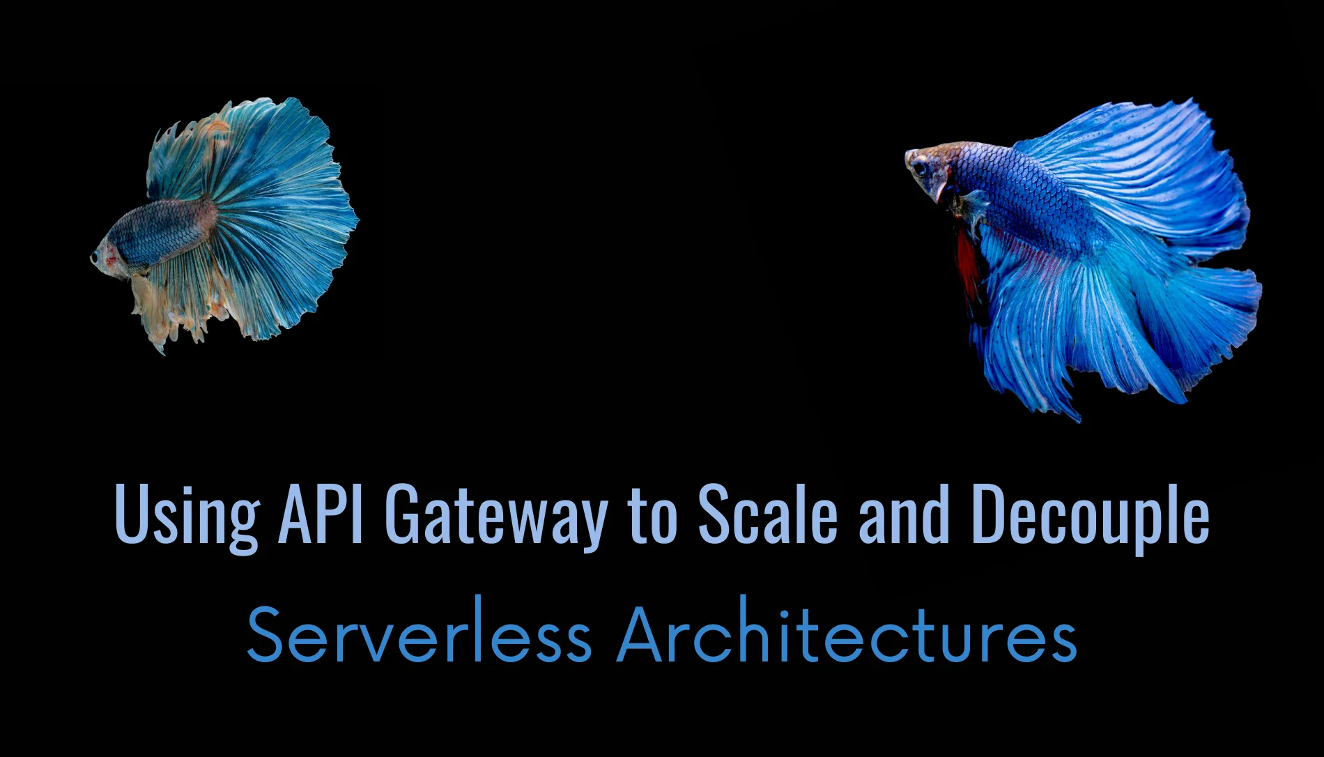 featured image - How To Use Amazon API Gateway to Decouple and Scale Serverless Architectures