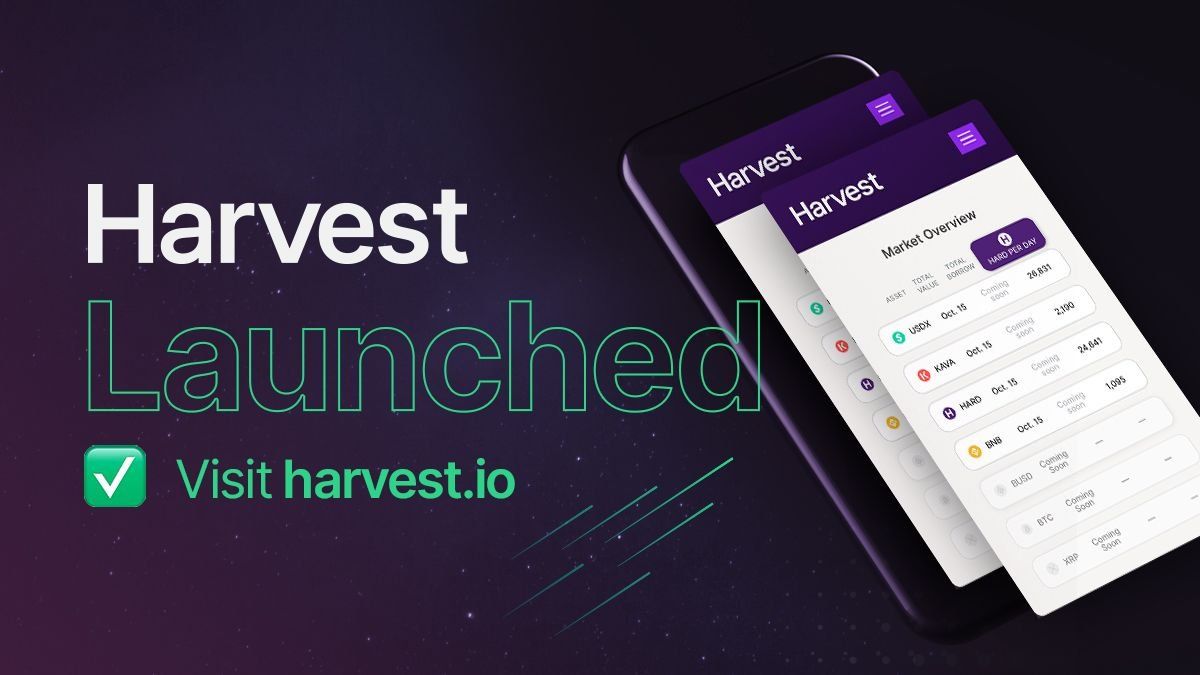 featured image - Kava Launches Harvest.io - World’s First Cross-chain Money Market 
