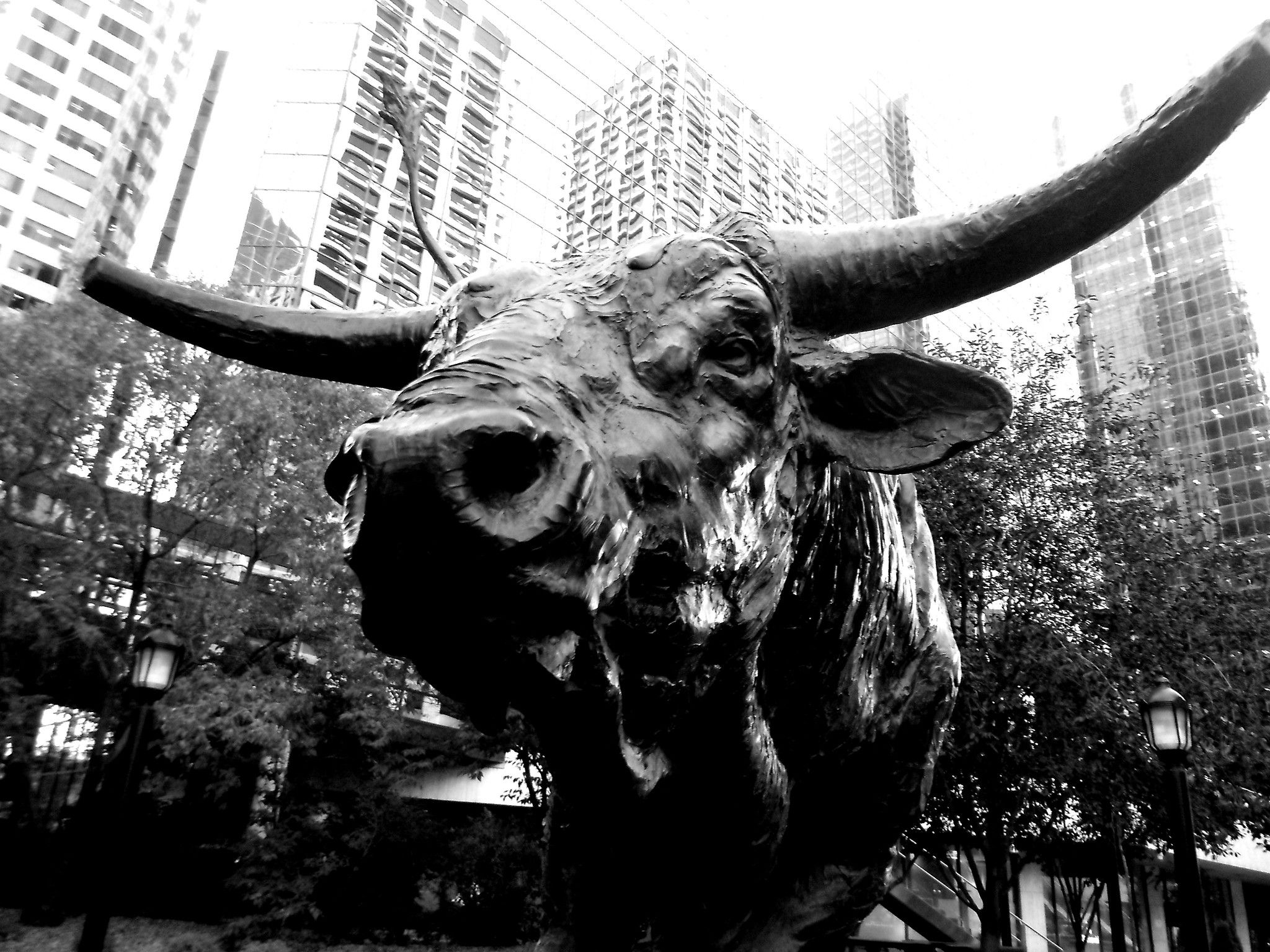 featured image - Mina's Top Altcoin Picks for 2020