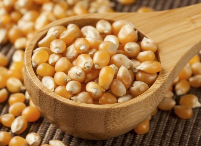 featured image - Docker is dead. Long live the Unikernel.