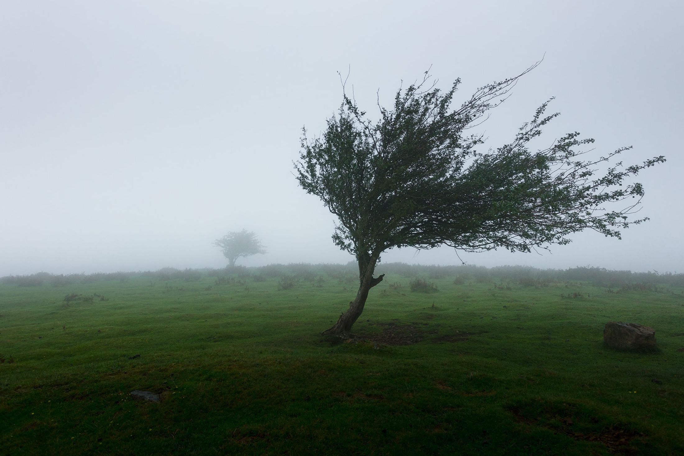 featured image - Don't Let Your .NET Applications Fail: Resiliency with Polly