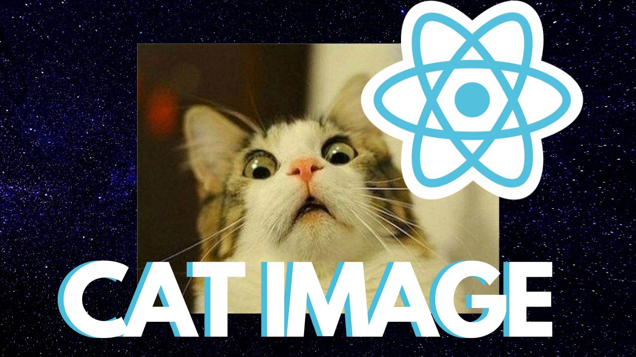 featured image - Cats Taking Over: How to Make a Random Cat Image Generator With React and Cat API