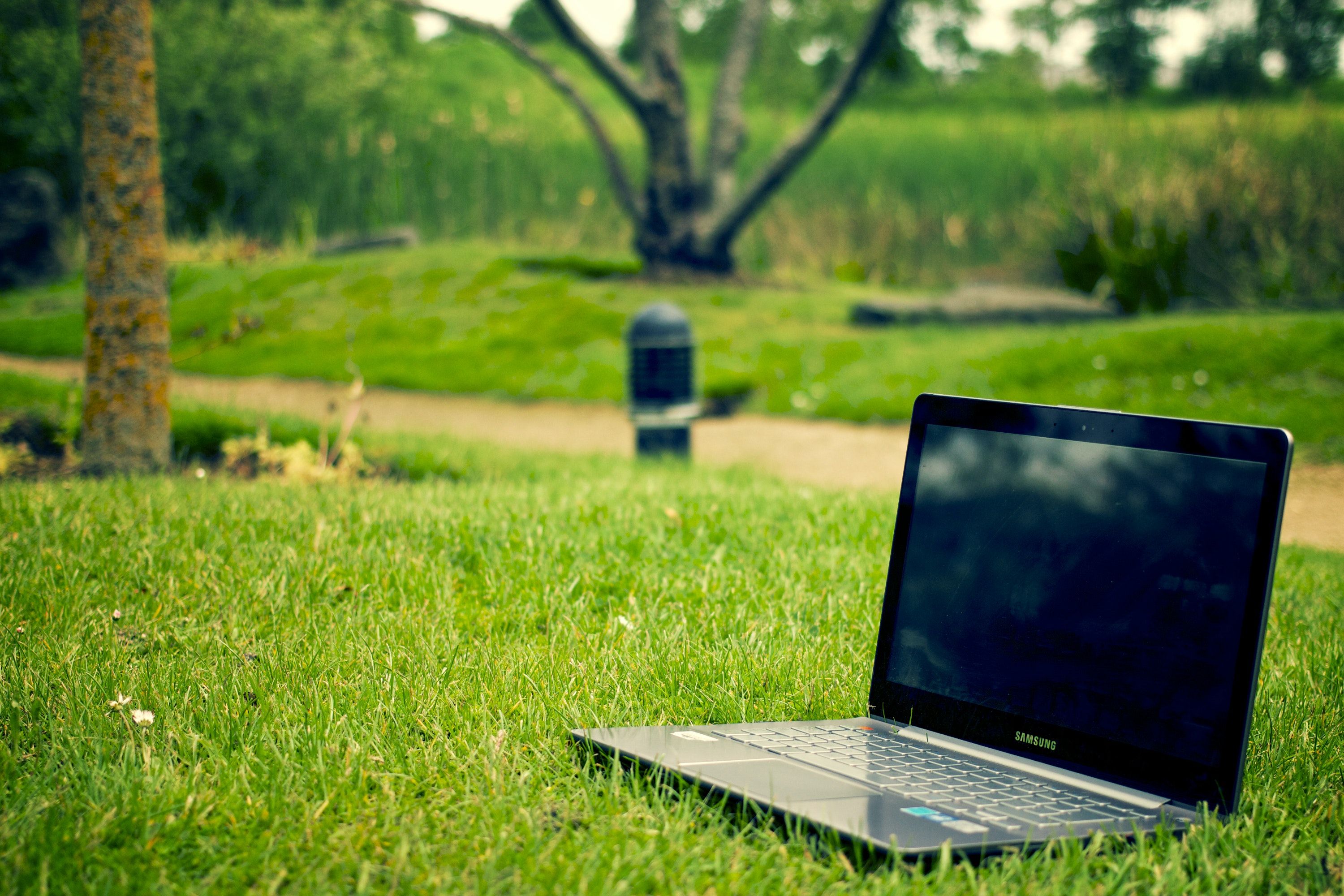 featured image - To Remote Work or Not to Remote Work: That is the Question