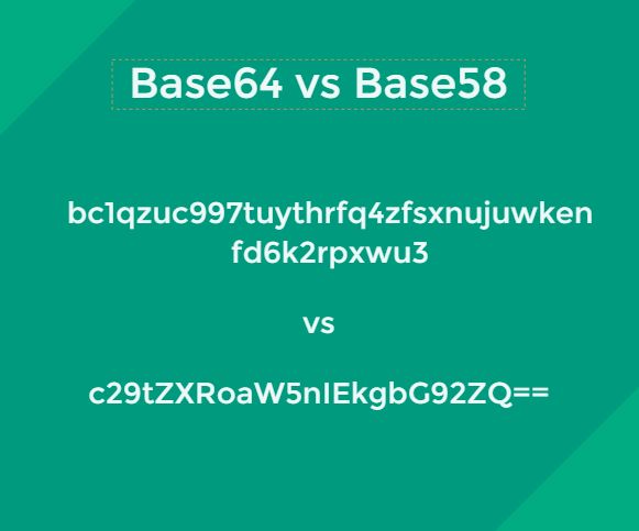 featured image - Learn More About Data Encoding: Base64 vs Base58