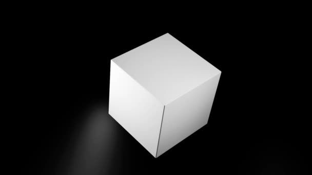 featured image - What Is White-Box Cryptography?