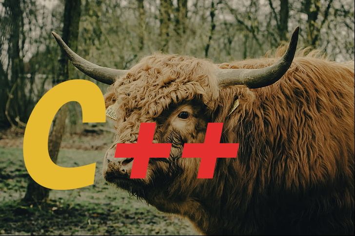 Learn Repo's image-9a78c8